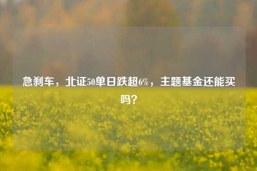 急刹车	，北证50单日跌超6%，主题基金还能买吗？  第1张