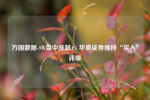 万国数据-SW盘中涨超4% 华泰证券维持“买入”评级  第1张