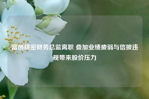富创精密财务总监离职 叠加业绩疲弱与信披违规带来股价压力  第1张