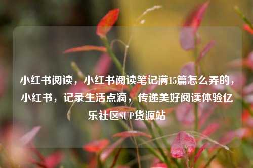 小红书阅读	，小红书阅读笔记满15篇怎么弄的，小红书，记录生活点滴	，传递美好阅读体验亿乐社区SUP货源站  第1张