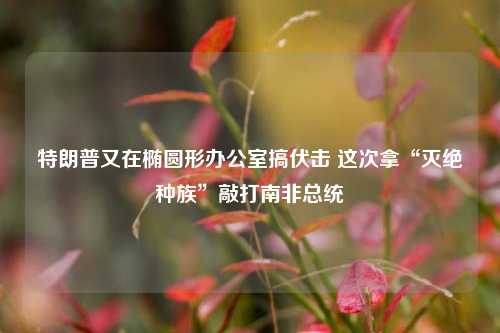 特朗普又在椭圆形办公室搞伏击 这次拿“灭绝种族”敲打南非总统  第1张