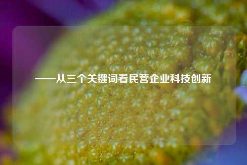——从三个关键词看民营企业科技创新  第1张