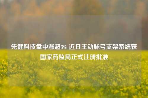 先健科技盘中涨超3% 近日主动脉弓支架系统获国家药监局正式注册批准  第1张