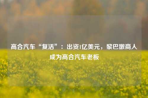 高合汽车“复活	”：出资1亿美元，黎巴嫩商人成为高合汽车老板  第1张