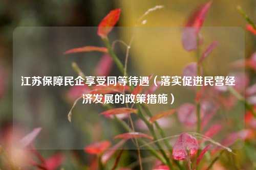 江苏保障民企享受同等待遇（落实促进民营经济发展的政策措施）  第1张