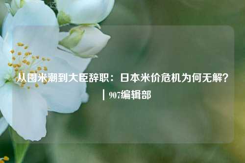 从囤米潮到大臣辞职：日本米价危机为何无解？｜907编辑部  第1张