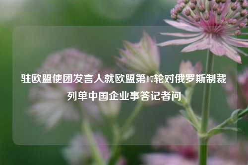 驻欧盟使团发言人就欧盟第17轮对俄罗斯制裁列单中国企业事答记者问  第1张