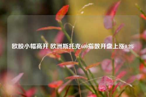 欧股小幅高开 欧洲斯托克600指数开盘上涨0.2%  第1张