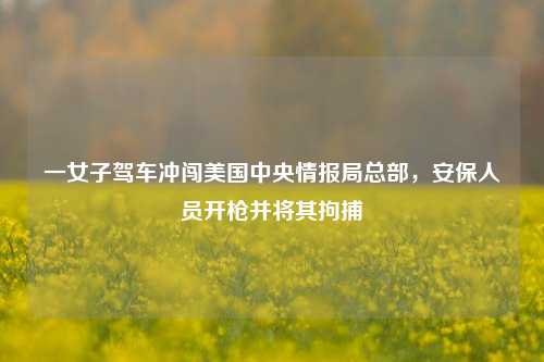 一女子驾车冲闯美国中央情报局总部，安保人员开枪并将其拘捕  第1张