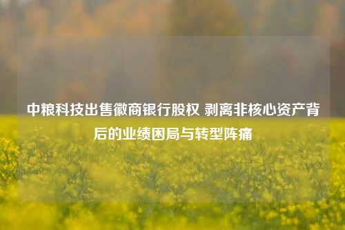 中粮科技出售徽商银行股权 剥离非核心资产背后的业绩困局与转型阵痛  第1张