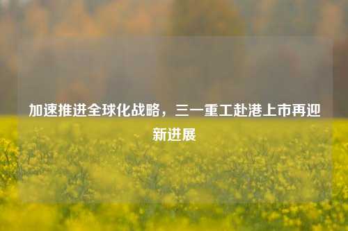 加速推进全球化战略，三一重工赴港上市再迎新进展  第1张