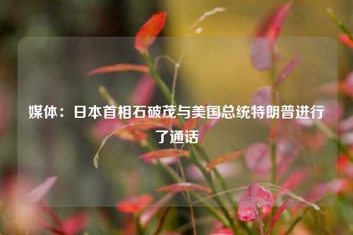 媒体：日本首相石破茂与美国总统特朗普进行了通话  第1张