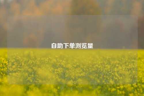 自助下单浏览量  第1张