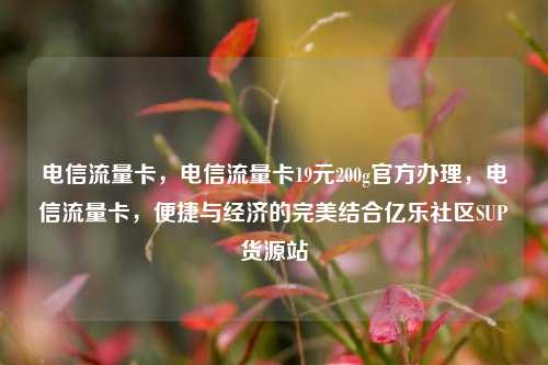 电信流量卡，电信流量卡19元200g官方办理，电信流量卡	，便捷与经济的完美结合亿乐社区SUP货源站  第1张