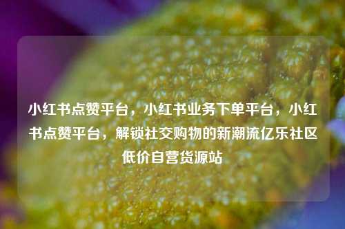 小红书点赞平台，小红书业务下单平台	，小红书点赞平台，解锁社交购物的新潮流亿乐社区低价自营货源站  第1张