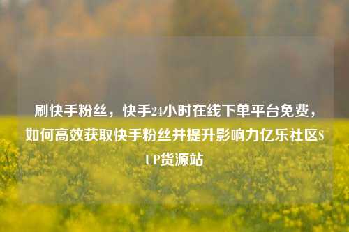 刷快手粉丝，快手24小时在线下单平台免费，如何高效获取快手粉丝并提升影响力亿乐社区SUP货源站  第1张