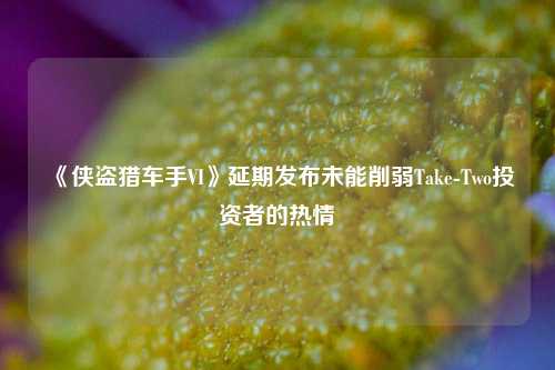 《侠盗猎车手VI》延期发布未能削弱Take-Two投资者的热情  第1张