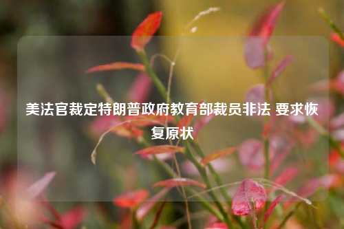 美法官裁定特朗普政府教育部裁员非法 要求恢复原状  第1张