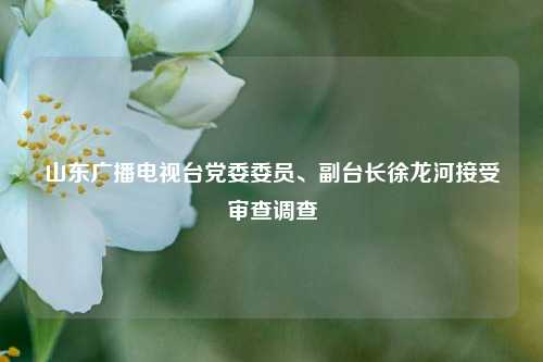 山东广播电视台党委委员	、副台长徐龙河接受审查调查  第1张