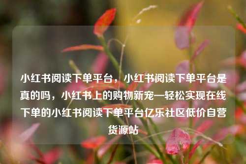 小红书阅读下单平台	，小红书阅读下单平台是真的吗，小红书上的购物新宠—轻松实现在线下单的小红书阅读下单平台亿乐社区低价自营货源站  第1张