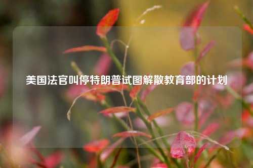 美国法官叫停特朗普试图解散教育部的计划  第1张