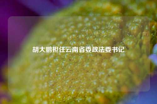 胡大鹏担任云南省委政法委书记  第1张