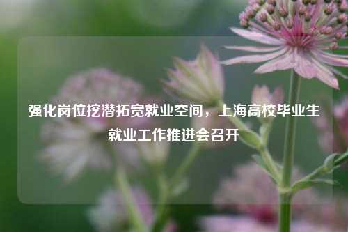 强化岗位挖潜拓宽就业空间	，上海高校毕业生就业工作推进会召开  第1张