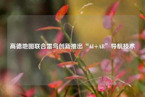 高德地图联合雷鸟创新推出“AI+AR”导航技术  第1张