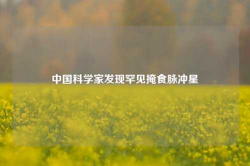 中国科学家发现罕见掩食脉冲星  第1张