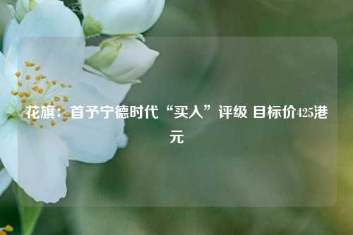 花旗：首予宁德时代“买入”评级 目标价425港元  第1张