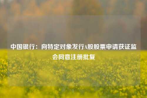 中国银行：向特定对象发行A股股票申请获证监会同意注册批复  第1张