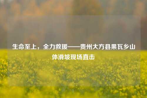 生命至上，全力救援——贵州大方县果瓦乡山体滑坡现场直击  第1张