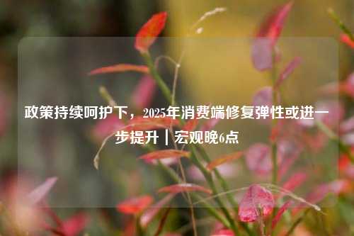政策持续呵护下，2025年消费端修复弹性或进一步提升｜宏观晚6点  第1张