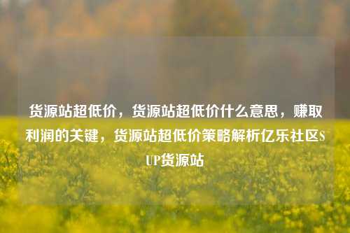 货源站超低价	，货源站超低价什么意思，赚取利润的关键，货源站超低价策略解析亿乐社区SUP货源站  第1张