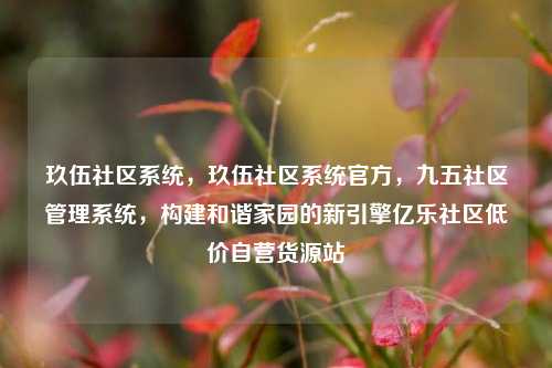 玖伍社区系统，玖伍社区系统官方，九五社区管理系统	，构建和谐家园的新引擎亿乐社区低价自营货源站  第1张