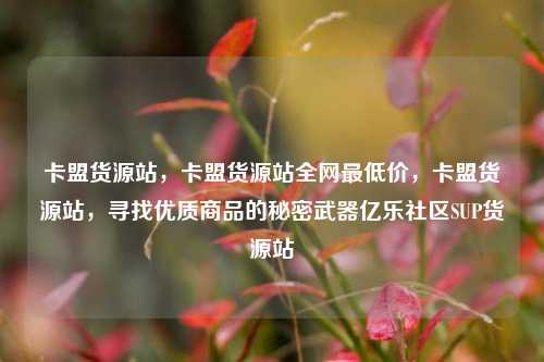 卡盟货源站，卡盟货源站全网最低价，卡盟货源站，寻找优质商品的秘密武器亿乐社区SUP货源站  第1张