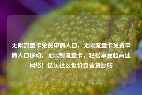 无限流量卡免费申请入口，无限流量卡免费申请入口移动，无限制流量卡	，轻松享受超高速网络！亿乐社区低价自营货源站  第1张