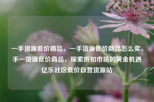 一手货源低价商品，一手货源低价商品怎么卖，手一货源低价商品	，探索折扣市场的黄金机遇亿乐社区低价自营货源站  第1张