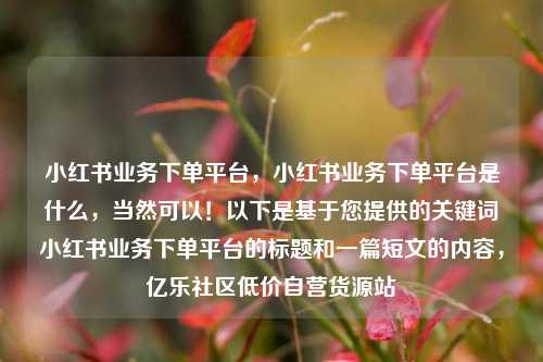 小红书业务下单平台	，小红书业务下单平台是什么，当然可以！以下是基于您提供的关键词小红书业务下单平台的标题和一篇短文的内容，亿乐社区低价自营货源站  第1张