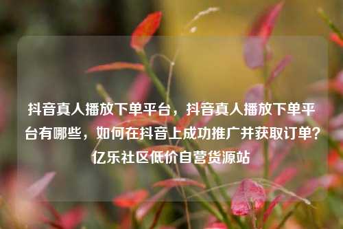 抖音真人播放下单平台，抖音真人播放下单平台有哪些	，如何在抖音上成功推广并获取订单？亿乐社区低价自营货源站  第1张