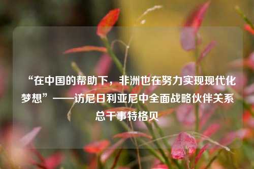 “在中国的帮助下	，非洲也在努力实现现代化梦想”——访尼日利亚尼中全面战略伙伴关系总干事特格贝  第1张