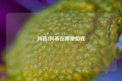 抖音1抖币在哪里扣钱  第1张