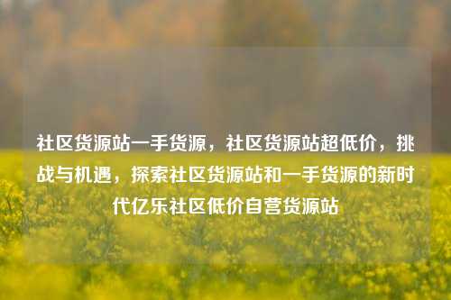 社区货源站一手货源	，社区货源站超低价，挑战与机遇，探索社区货源站和一手货源的新时代亿乐社区低价自营货源站  第1张