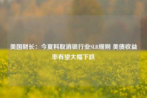 美国财长：今夏料取消银行业SLR规则 美债收益率有望大幅下跌  第1张