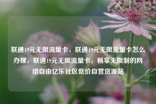 联通19元无限流量卡，联通19元无限流量卡怎么办理，联通19元无限流量卡	，畅享无限制的网络自由亿乐社区低价自营货源站  第1张
