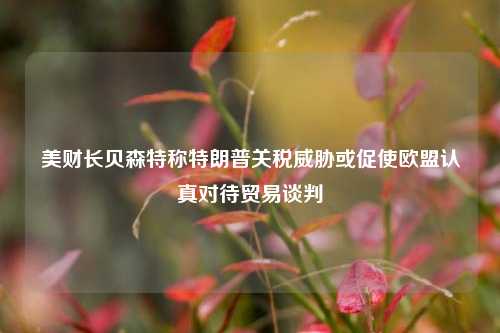 美财长贝森特称特朗普关税威胁或促使欧盟认真对待贸易谈判  第1张