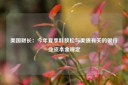 美国财长：今年夏季料放松与美债有关的银行业资本金规定  第1张