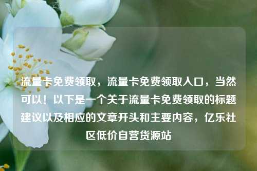 流量卡免费领取，流量卡免费领取入口，当然可以！以下是一个关于流量卡免费领取的标题建议以及相应的文章开头和主要内容	，亿乐社区低价自营货源站  第1张