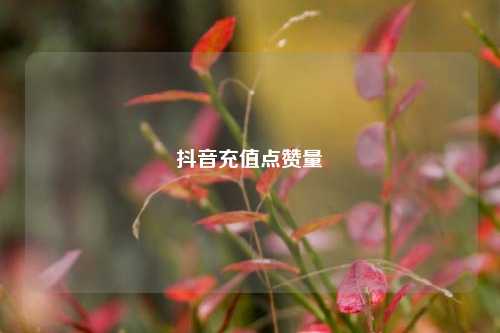 抖音充值点赞量  第1张