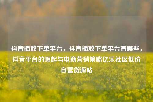 抖音播放下单平台，抖音播放下单平台有哪些	，抖音平台的崛起与电商营销策略亿乐社区低价自营货源站  第1张